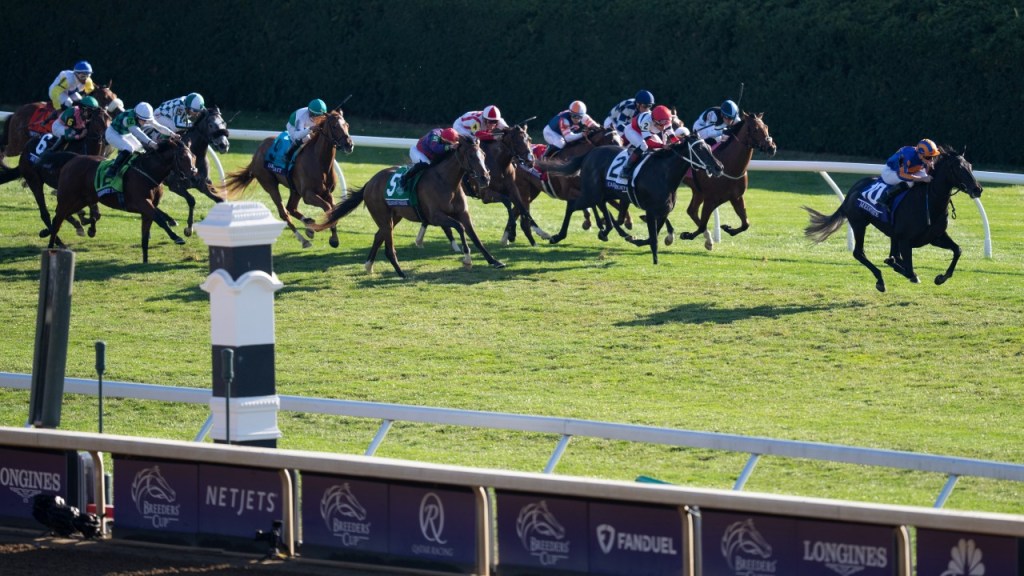 育馬者盃，凝神靜想增程得利，Jackie’s Warrior短途終極戰跑第三