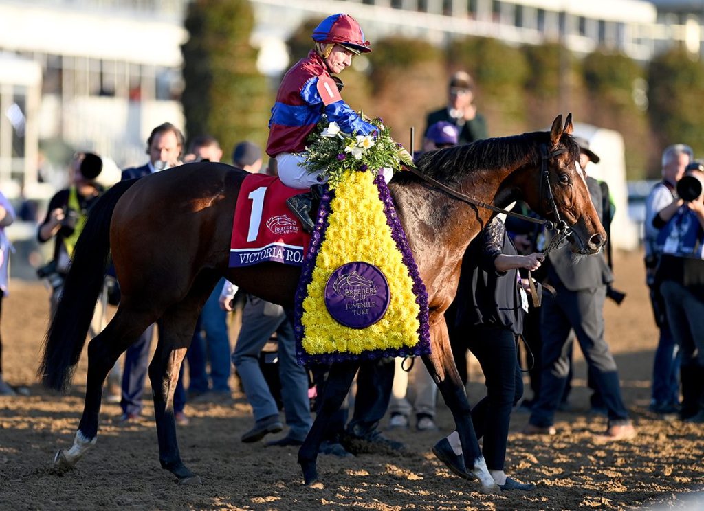 覺士盾永多利道之進擊