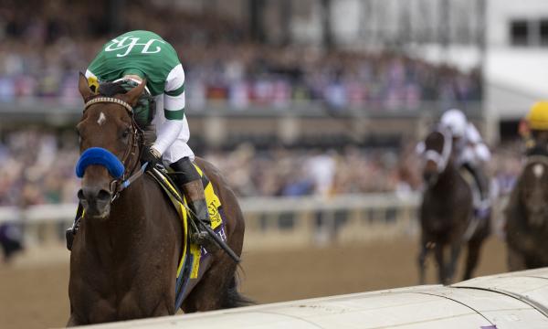 每日賽馬晚報（2022年11月6日），特別短版，航線2.5%權利明天可出價，賽馬娘第三季動畫正式公佈