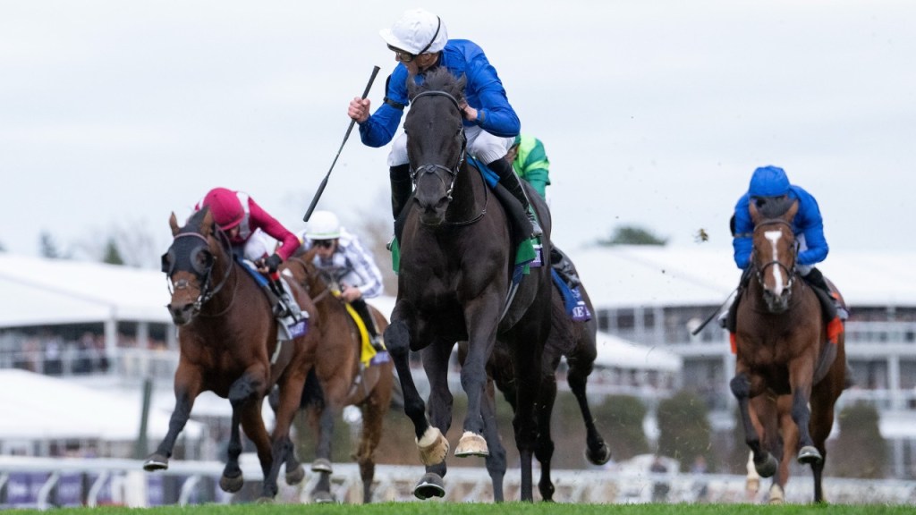 育馬者盃草地大賽再度奪標，歐洲及日本黑馬勢力，還是主隊希望