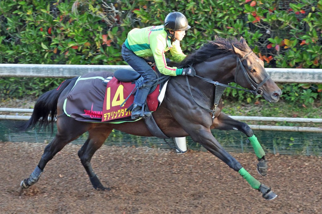 謀勇兼備再度受傷，退出沙地盃賽日賽事