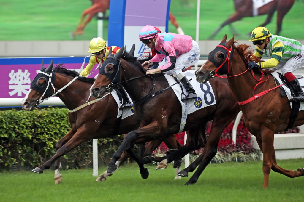 樂聲盃北極光等候大半年找到突圍機會