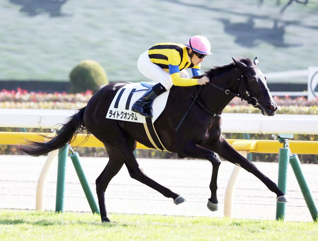 每日賽馬晚報（2022年11月12日），沙地盃冠軍騎師Wigberto Ramos休息，大震撼末代子嗣贏多一場