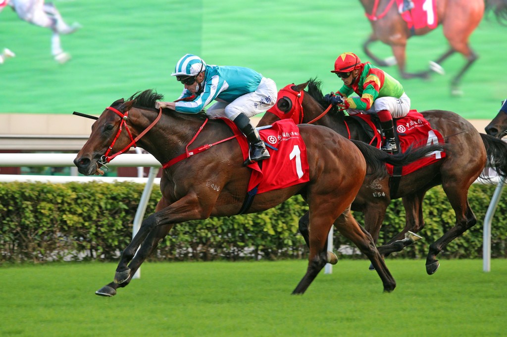 每日賽馬晚報(2024年11月14日),🇭🇰掛八號波前取消三場谷草賽事,🇭🇰馬會錦標三大賽事最前瞻