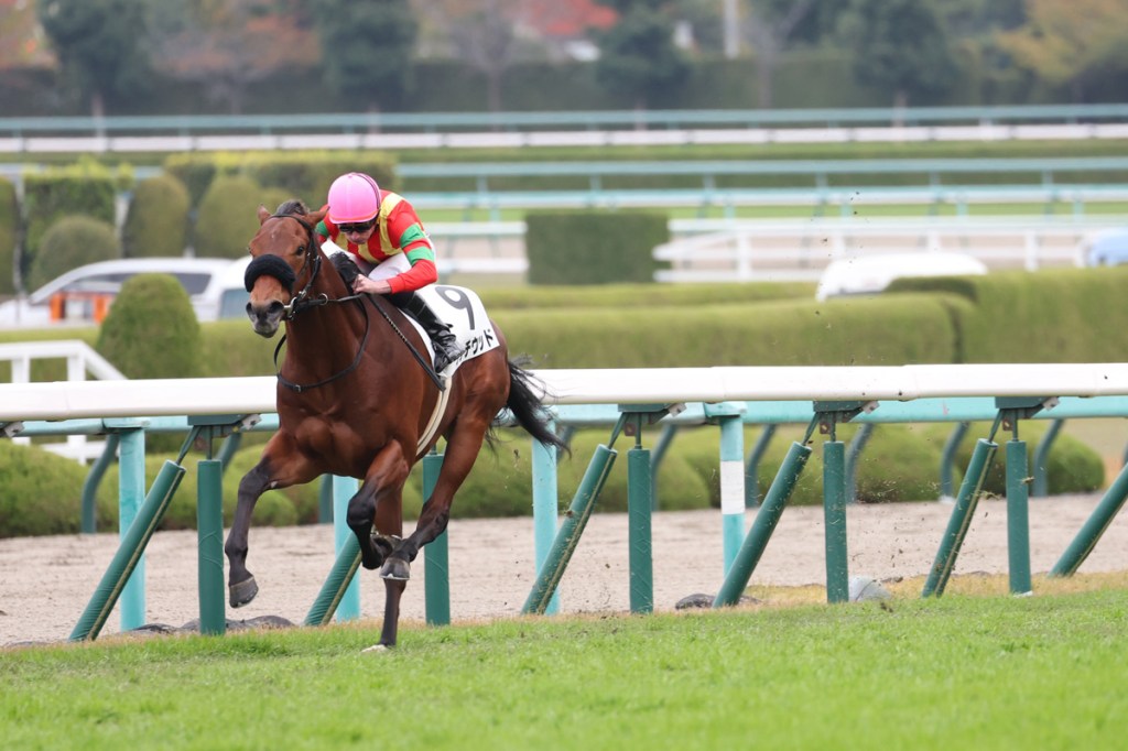 2023年4月16日日本二千堅尼賽馬日推介