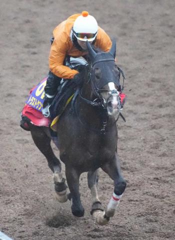 武士道精神,王道劍心照樣挑戰日本盃,藤田菜七子再度挑戰圖功成名立