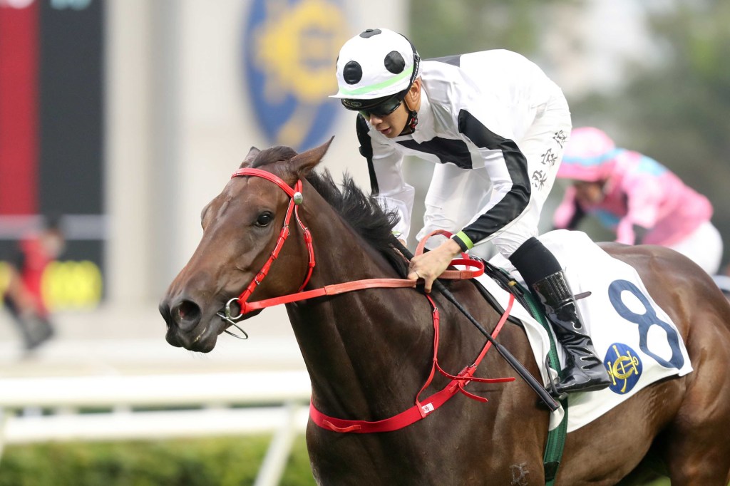 其士盃，瑪瑙大勝成率先上岸四歲新星