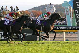 春秋分決戰日本盃，自由島星映天下可否突圍（賠率更新）