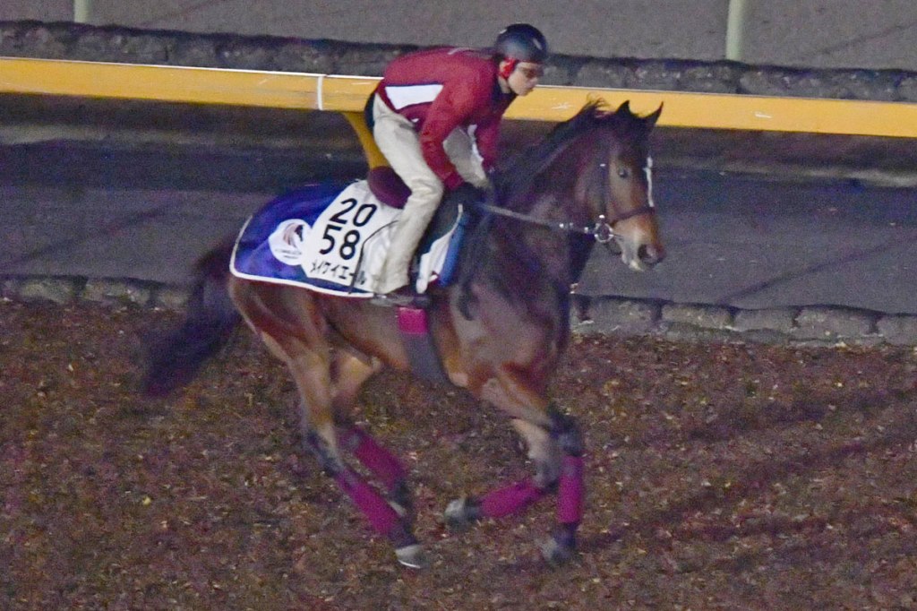 齊叫好加入育馬者盃戰團