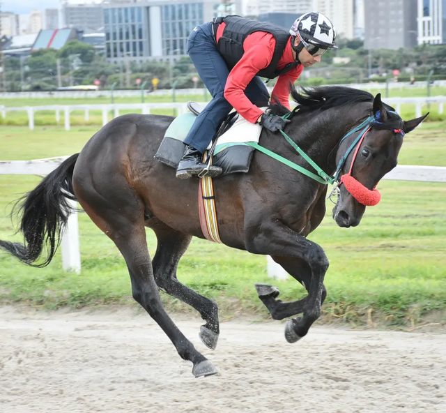 莫雷拉2023年初最新去向