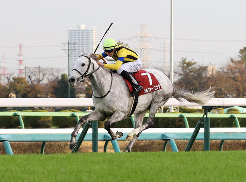 長途馬錦標，Silver Sonic果然命夠硬