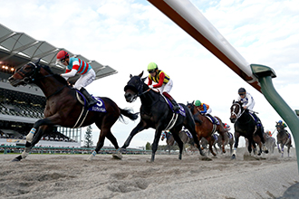 冠軍盃，電閃驚雷一閃而上