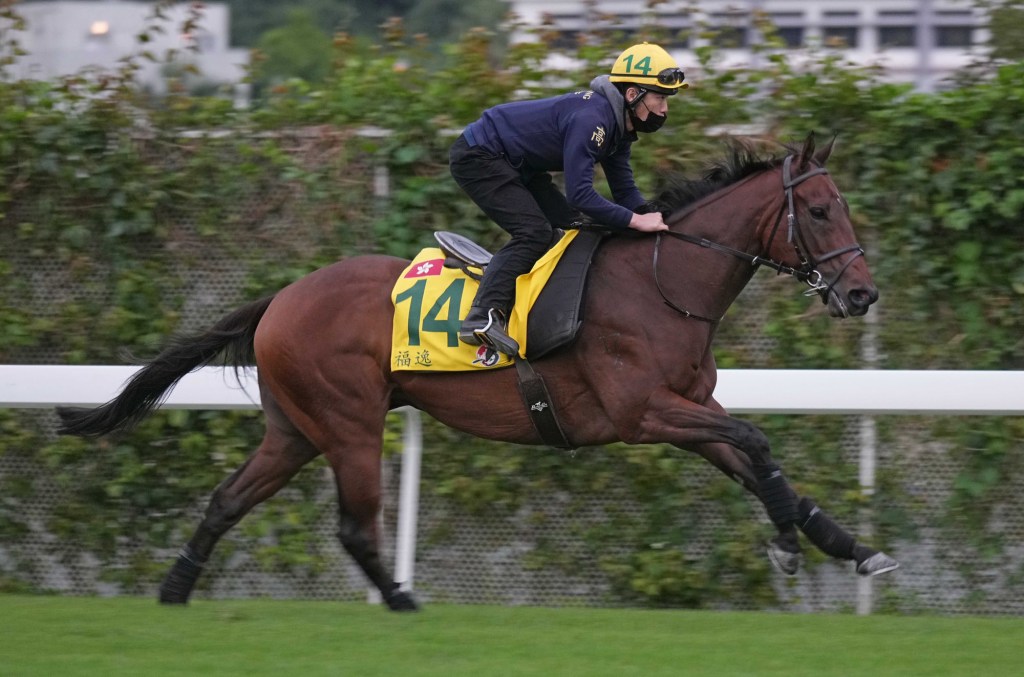 2022年12月11日賽馬日（10場田草、A跑道），香港國際賽事賽日四場賽事特集