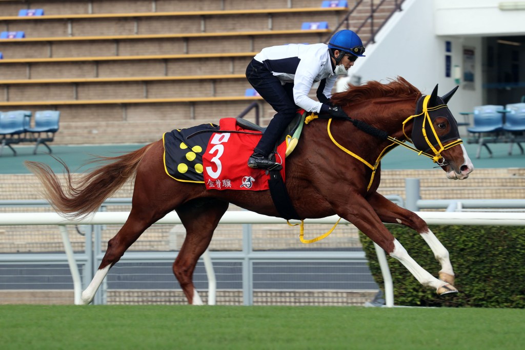 幾乎純港日對決,勇士力戰兩匹大逃馬