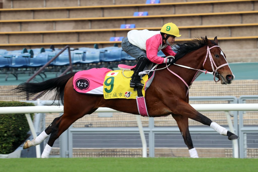 福逸重新開始？還是被新星蓋過