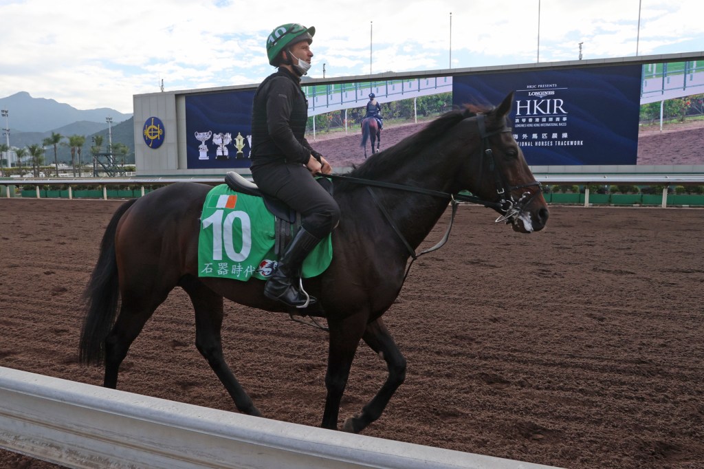 每日賽馬晚報（2023年2月13日），香港馬卡塔爾雙雄遇見岳伯仁馬匹，艾蒙信從練北美萬勝倒數階段