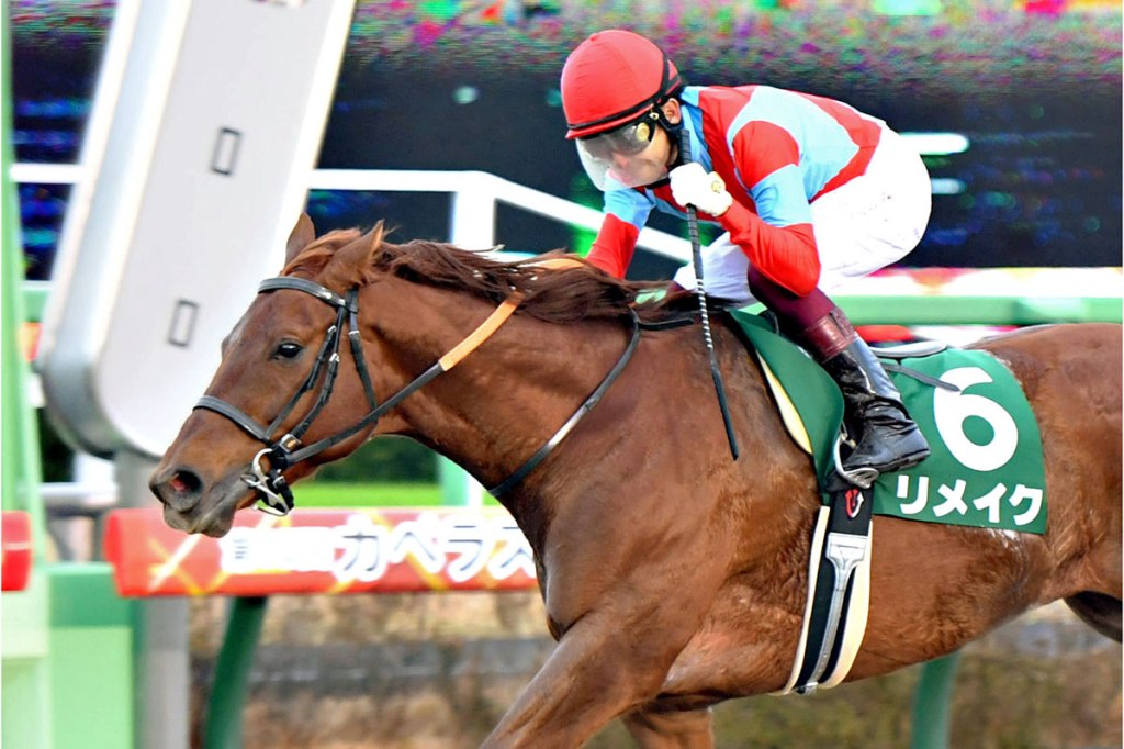 每日賽馬晚報（2022年12月13日），考菲爾德盃或改在11月舉行，福永祐一或於安都拉茲馬場掛靴