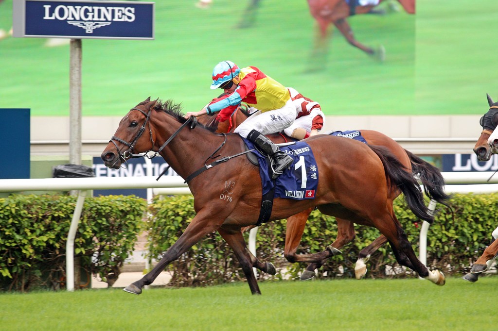 勇戰神駒再次嘗試闖寶塚,福逸已安排報名白金禧