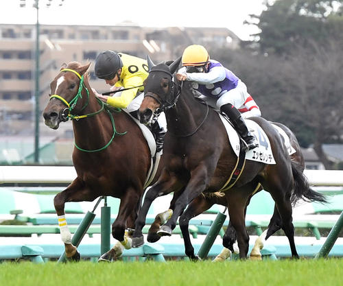 馬昆杜范欣夫婦將來志在日本?