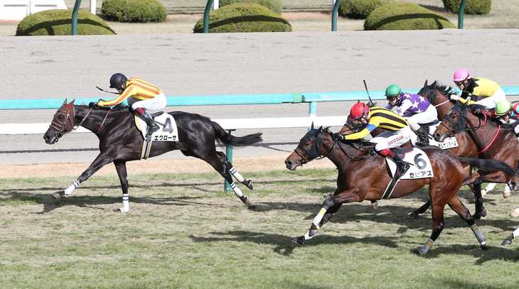 每日賽馬晚報(2022年12月25日),種馬Royal Applause離世,香港轉播賽開出日本最冷位置Q派彩