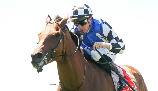 每日賽馬晚報(2022年12月26日),包裝大獎出戰一月盃,實料金塊再下一城圖戰明星一哩賽