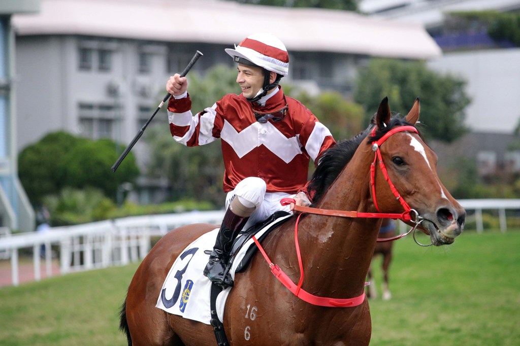 洋紫荊短途錦標,找到時機好眼光