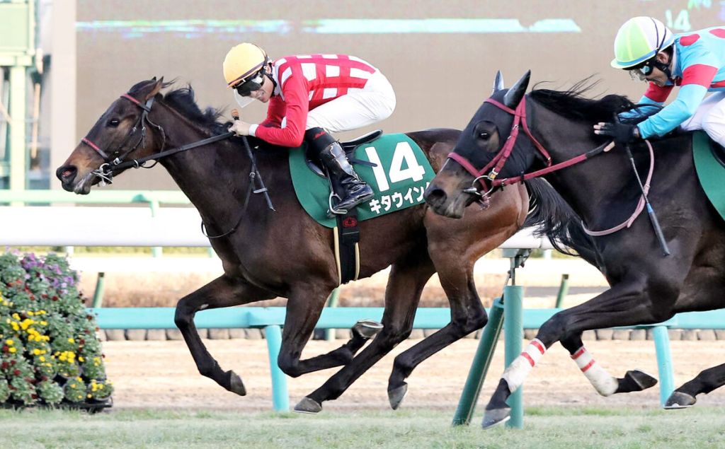 每日賽馬晚報（2023年1月9日），聖烈治錦標亞軍巴郡樂重返勝途，Kita Wing內偷突襲贏妖精錦標