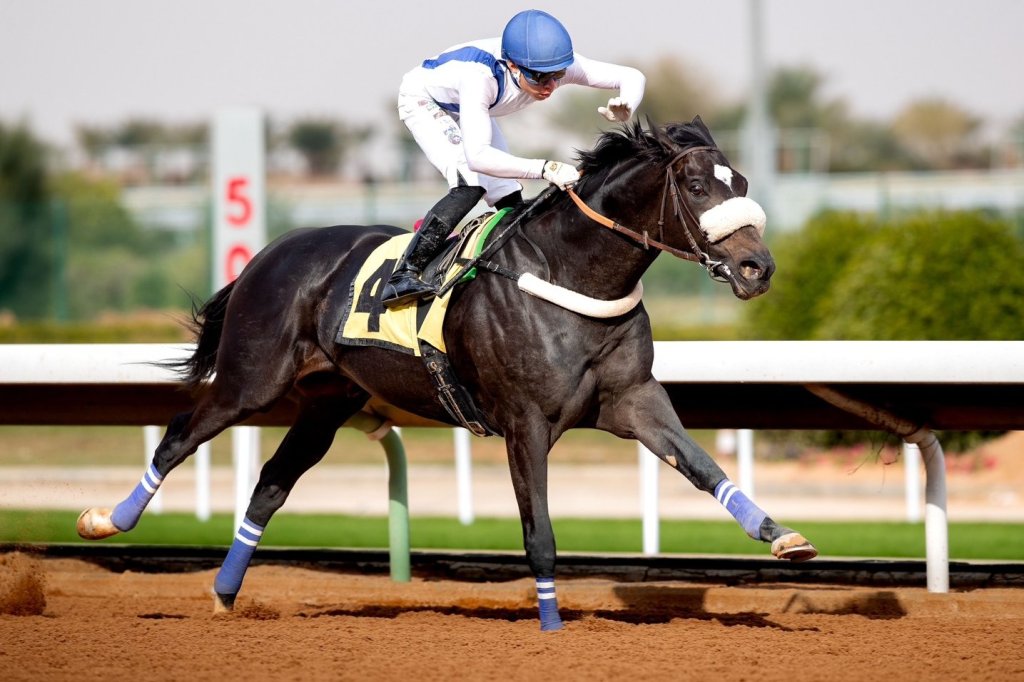 每日賽馬晚報(2023年1月16日),Kick Up For Racing對抗動保惡勢力,沙地盃冠軍Emblem Road上週五復出贏馬