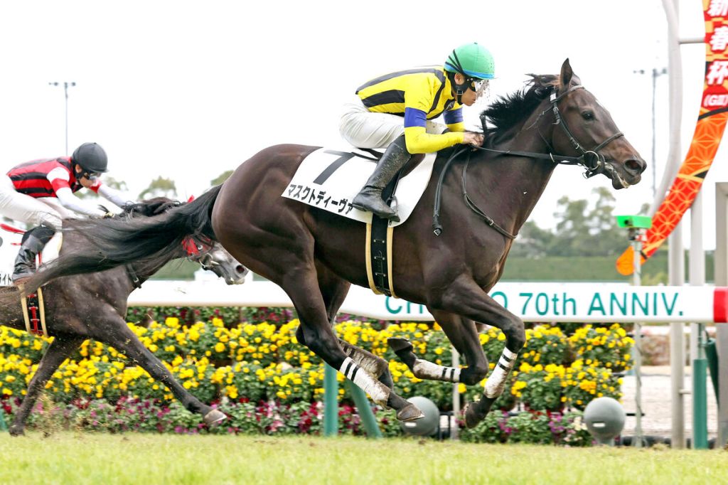 只是報個名，報名澳洲女皇伊利沙伯錦標日本馬真正動向