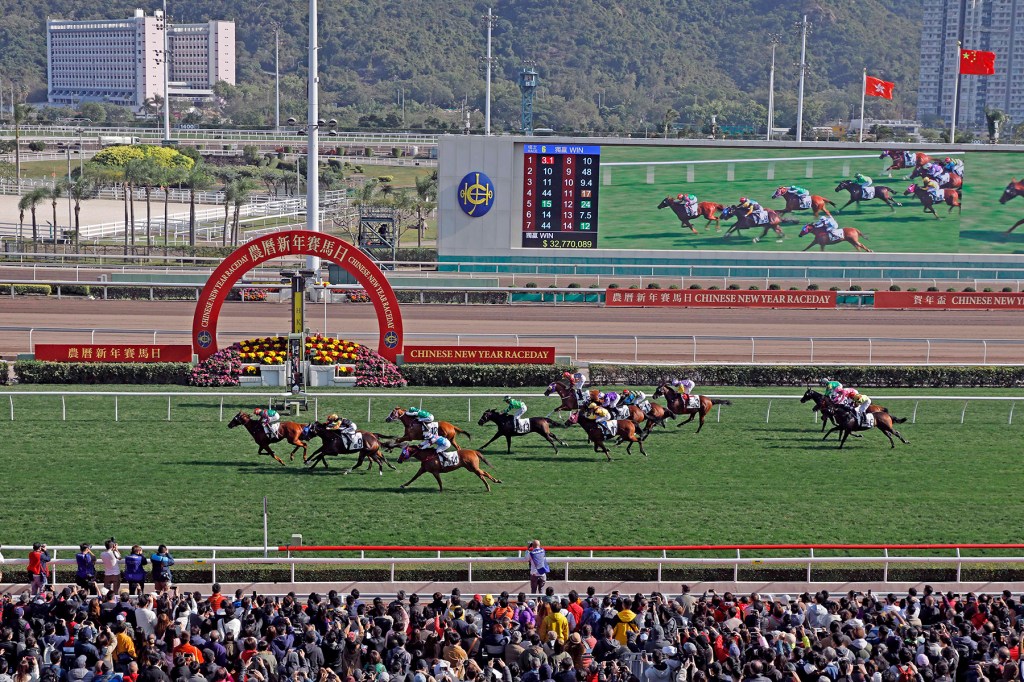 2022-23年香港馬壇大事回顧（9）總集篇，展望現在及將來