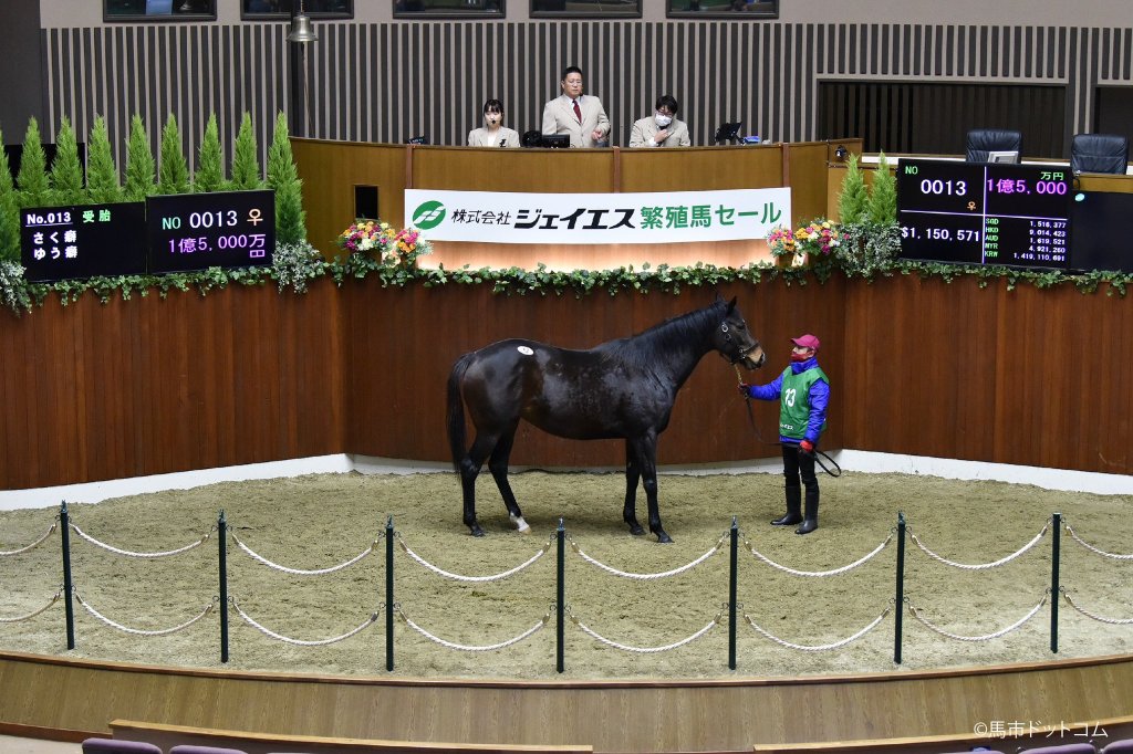 日本雌馬拍賣會兩種情，尋求自家種馬與馬主遺孀要錢不要貨