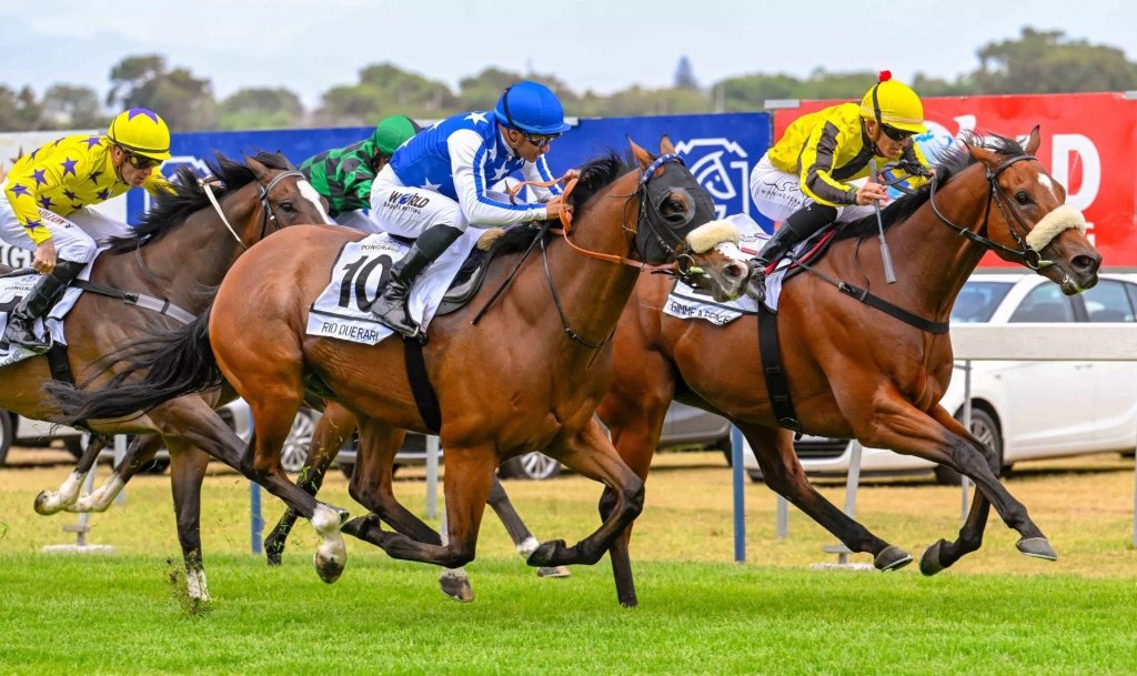 每日賽馬晚報（2023年6月16日），簡國能無緣策騎愛爾蘭打吡，董明朗來港挑戰
