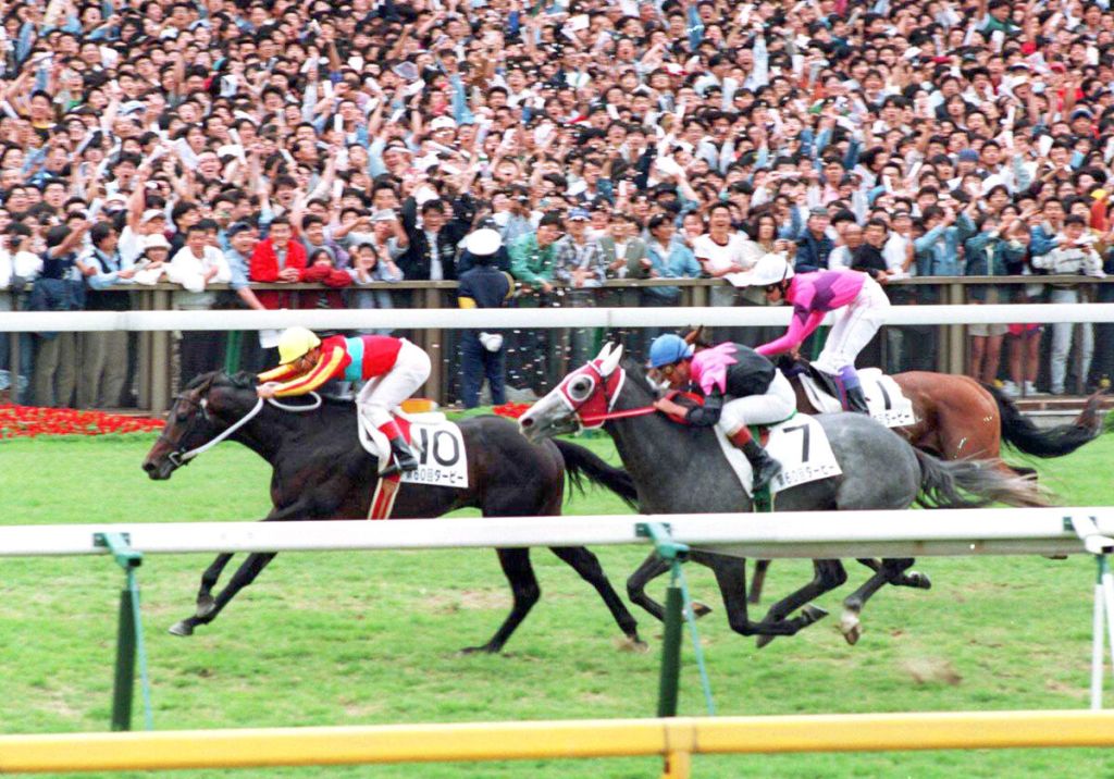 每日賽馬晚報(2023年2月18日),永別勝利獎券,長橢圓及Osipenko贏澳洲三歲馬預賽