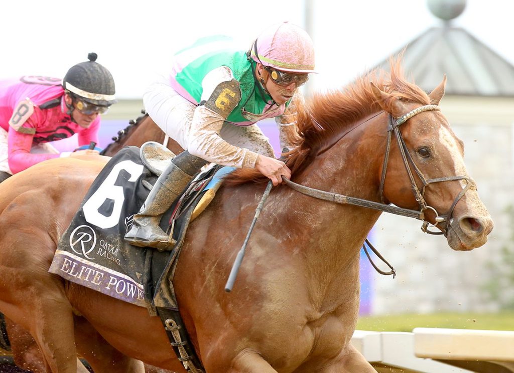 育馬者盃冠軍Elite Power短途賽挑戰日本泥地精英