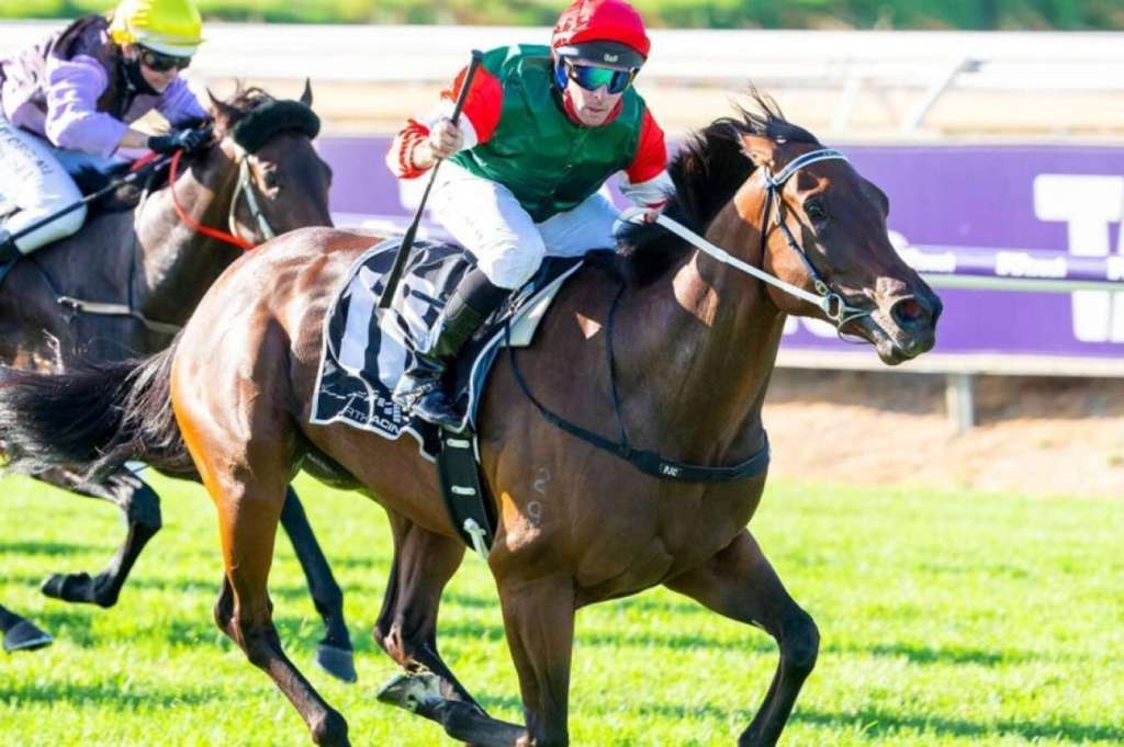 每日賽馬晚報（2023年4月19日），滂薄無比退出女皇盃，Amelia’s Jewel春季大賽三選一