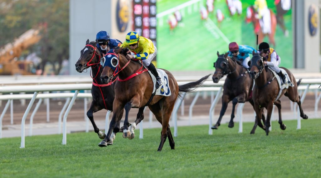 羅富全兵分多路出擊，彩虹千里能否在四歲馬賽事接班