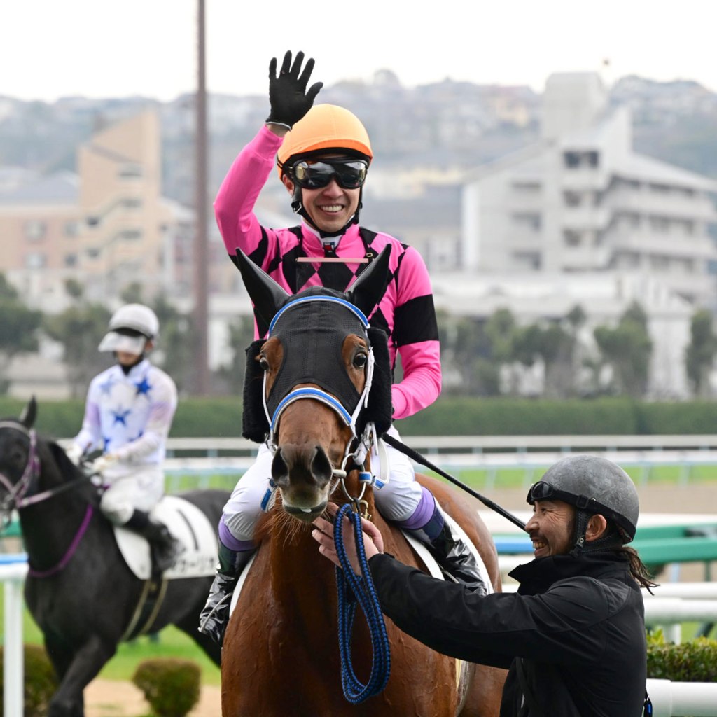 每日賽馬晚報（2023年2月4日），育馬者盃冠軍Elite Power挑戰沙地盃賽日短途賽，武豐小倉達JRA4400場勝利