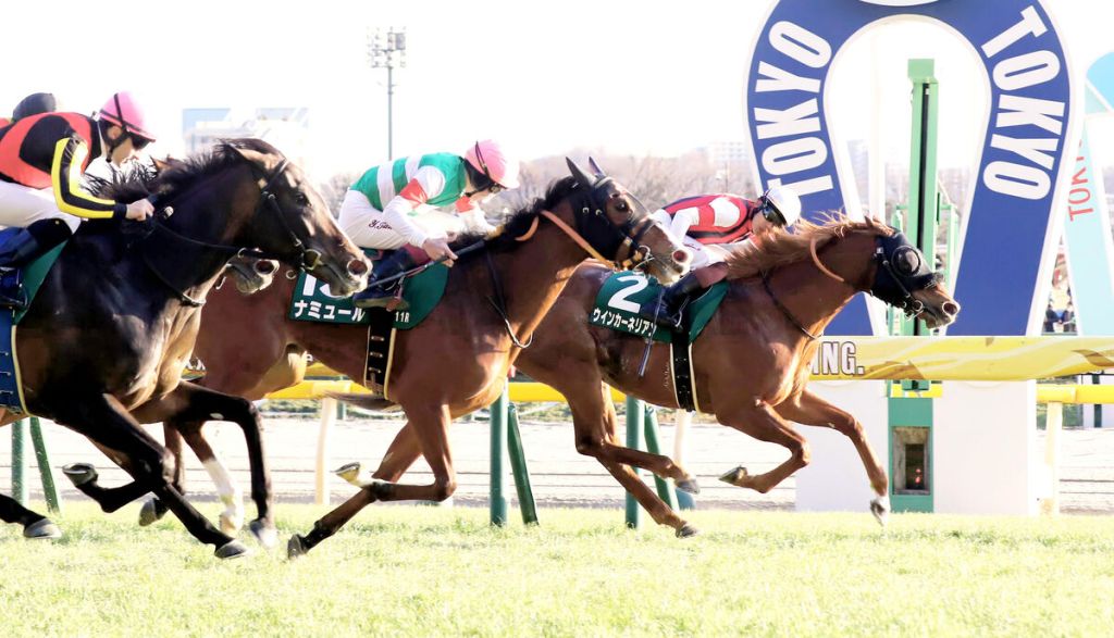 東京新聞盃,紅瑪瑙改善開閘放得到