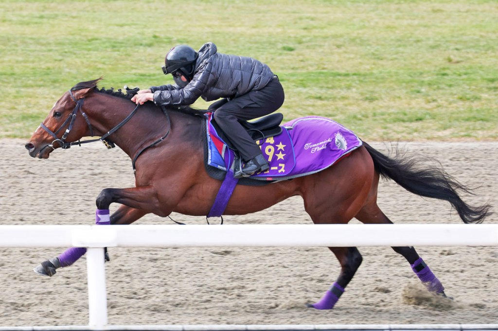 兩大經典賽冠軍備戰京都紀念賽