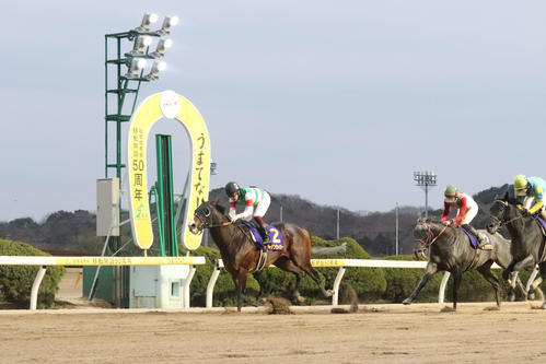 每日賽馬晚報（2023年2月9日），覺士盾料保留原封不動，福永祐一地方競馬「有終之美」