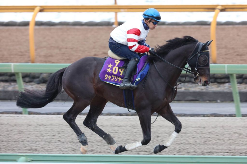 每日賽馬晚報（2023年2月16日），福永祐一最後一次策騎大帝，酋長錦標兩香港馬對手逐駒點