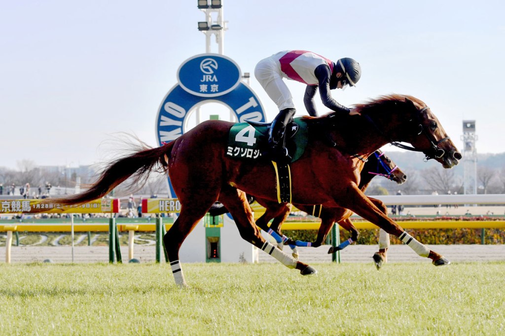 混和成一可否成寶塚紀念賽黑馬？