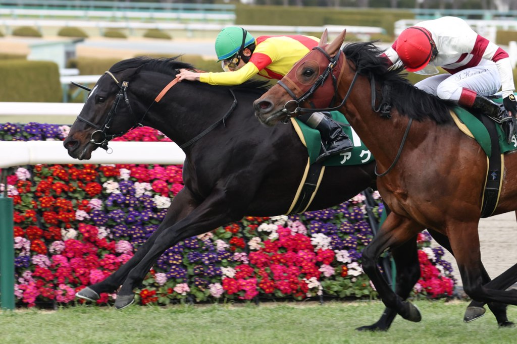 高松宮結果可不算數，愛勁利還有多強？