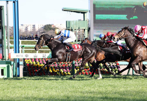 中山紀念賽，滂薄無比順利翻生