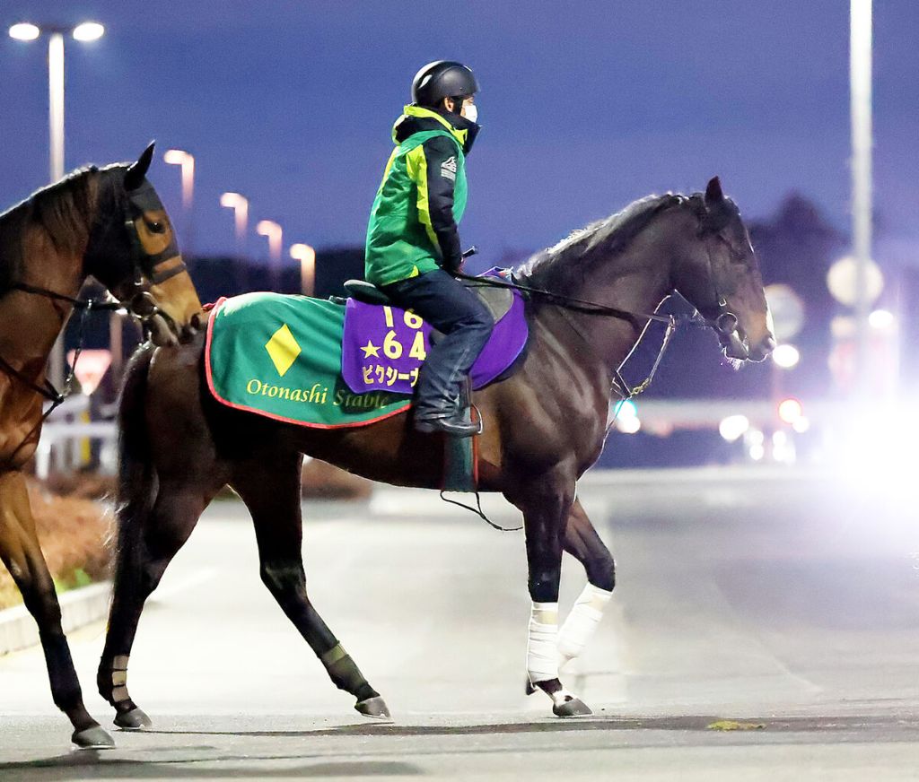 妙發靈機阪急盃復出