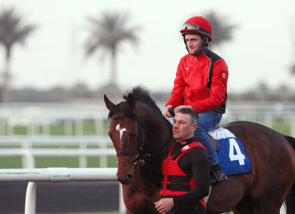 香港盃季軍前衛先鋒在種馬牧場被盜