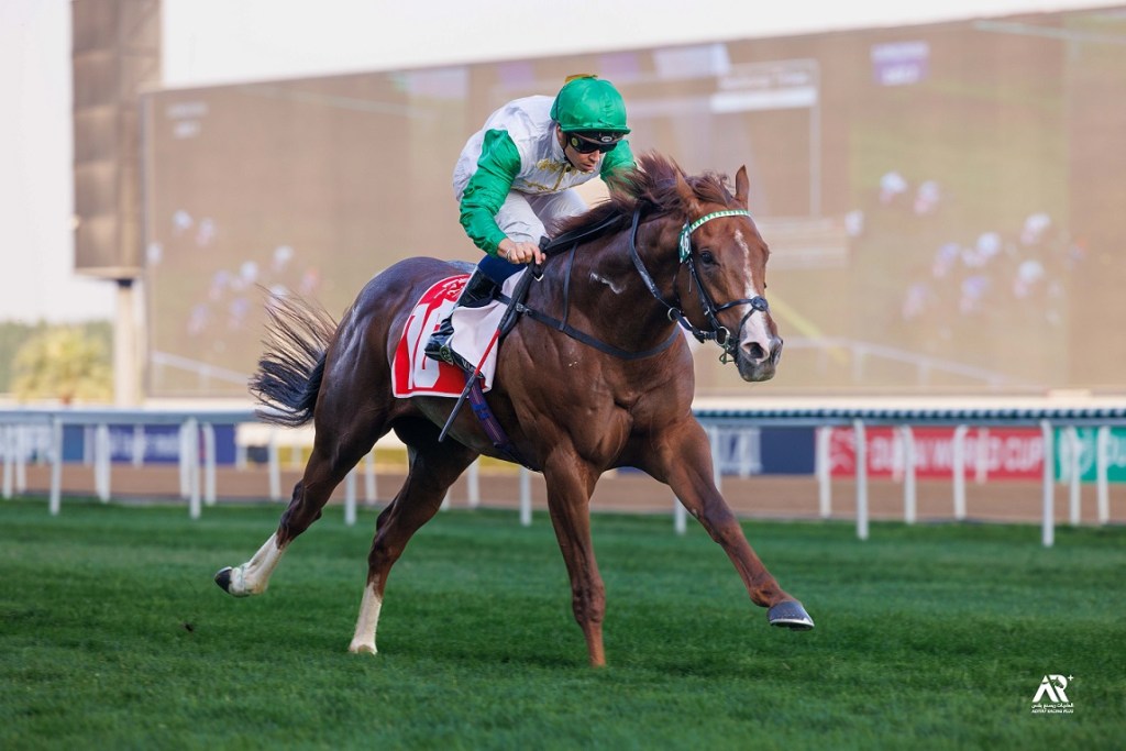 三歲短途怪傑愛得深