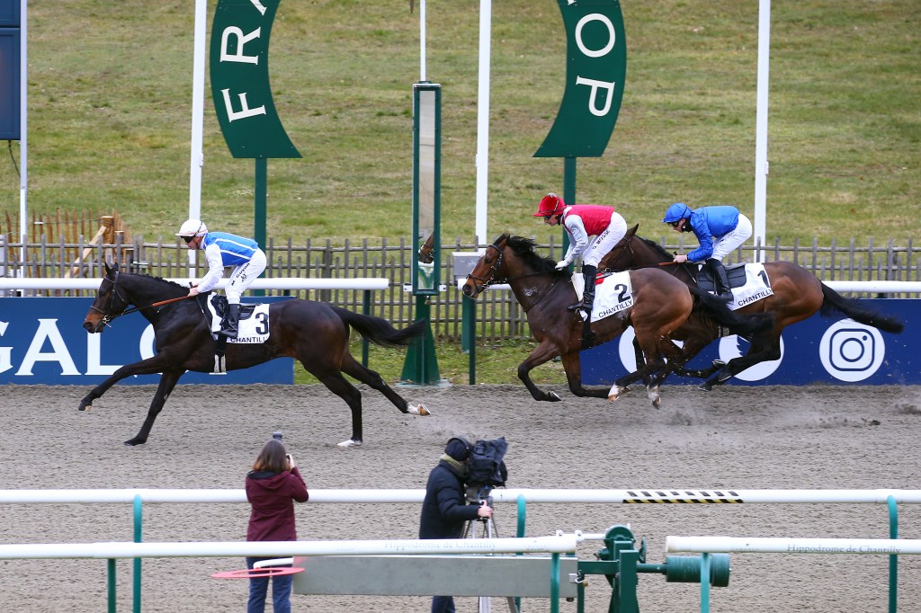 現役最強四歲閹馬Junko挑戰杜拜草地大賽