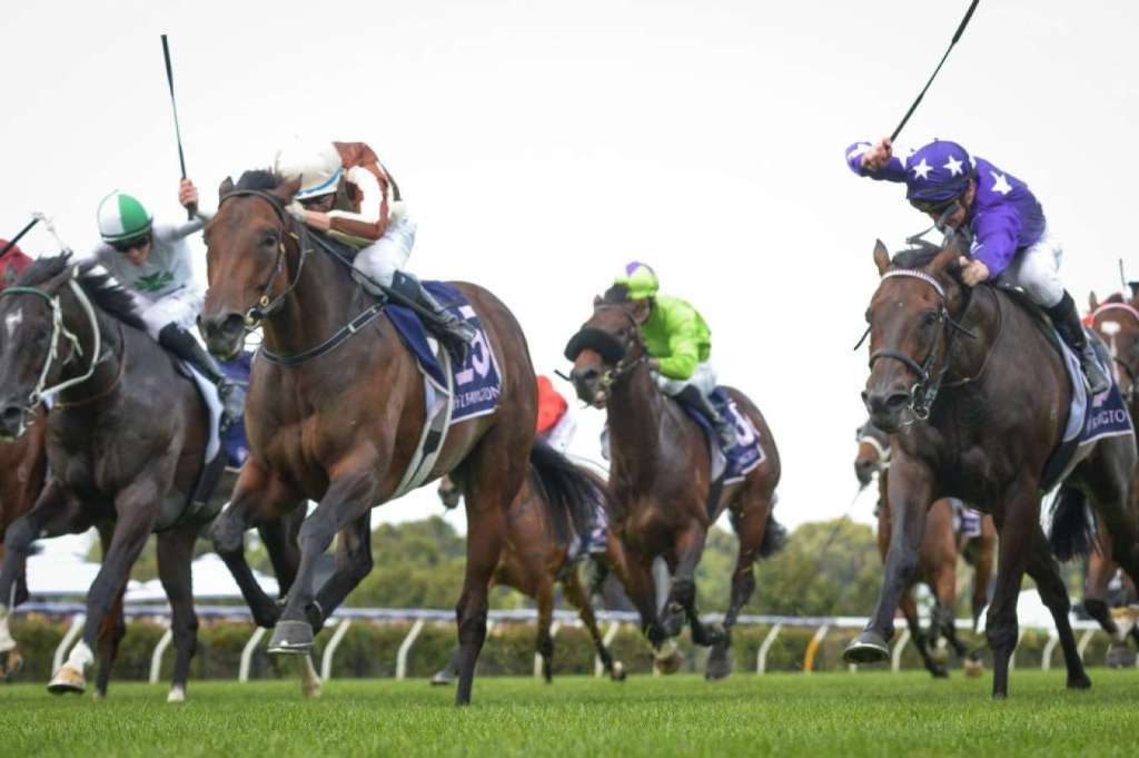 每日賽馬晚報（2023年3月5日），紐西蘭馬Legarto後上追過耗敵贏澳洲堅尼，法國尚蒂伊膠沙地熱身賽現杜拜世界盃賽馬日挑戰者