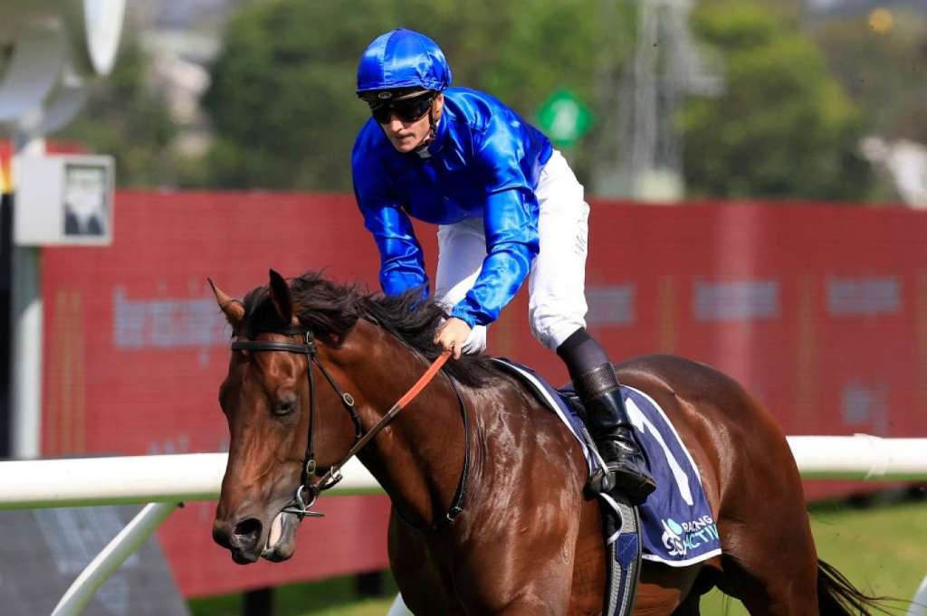 每日賽馬晚報（2023年11月24日），🇦🇺愛禮物做澳洲馬王、🇫🇷設計名師母系Starlet’s Sister離世